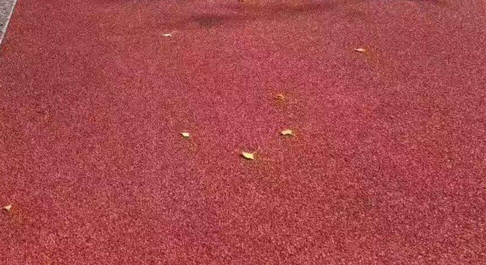 彩色防滑路面效果